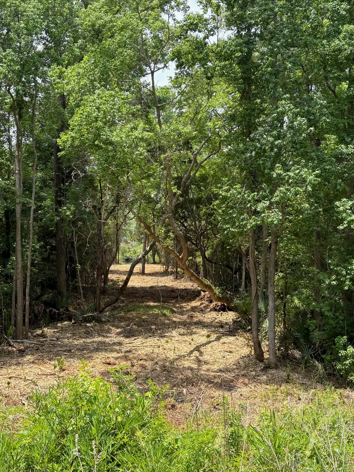 0 Bushy Park Road, Moncks Corner, SC 29461 - #1