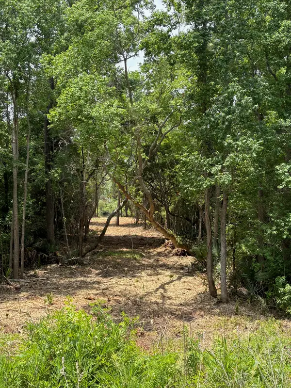 0 Bushy Park Road, Moncks Corner, SC 29461
