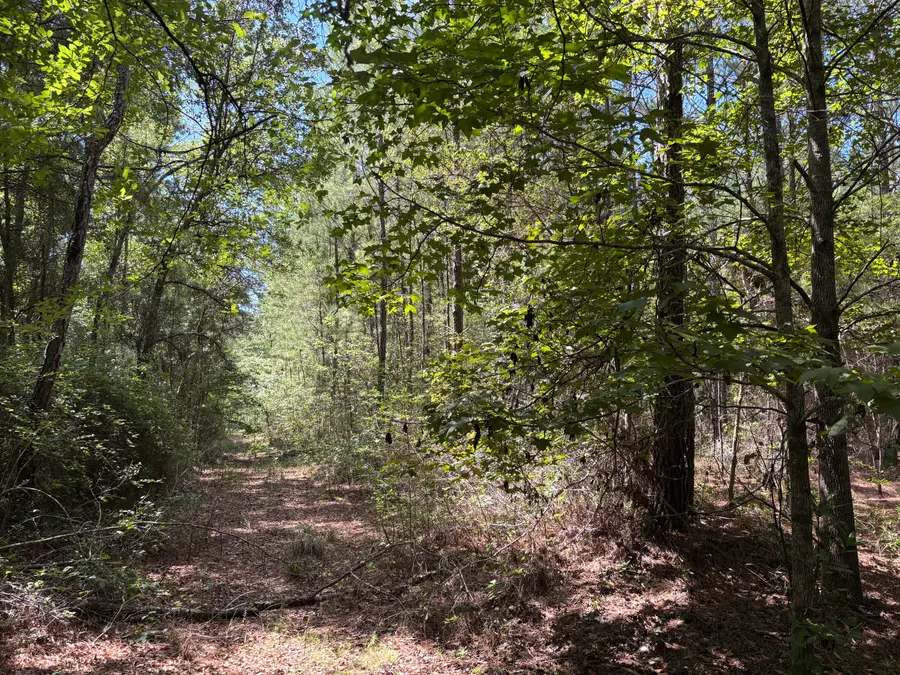 10 Red Oak Road, Cottageville, SC 29435 - #3