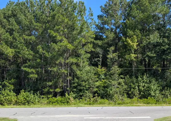 0 Prices Bridge Lane, Walterboro, SC 29488