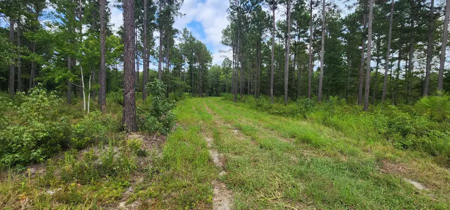 0 Addidas Street, Eutawville, SC 29048 - #3