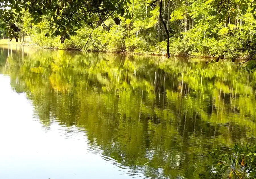 #6 Row Boat Lane, Elloree, SC 29047 - #2