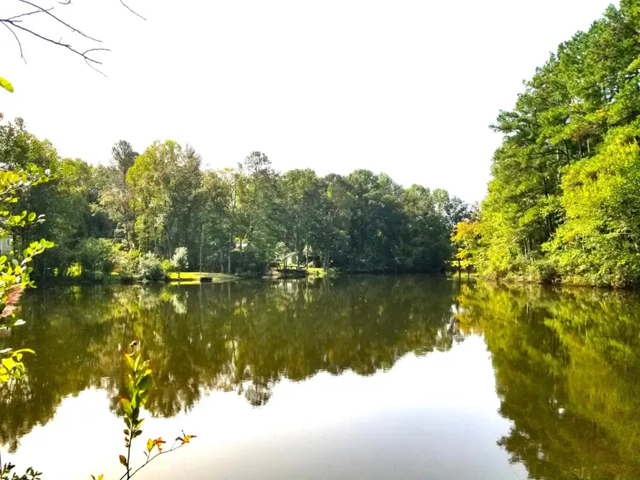 #6 Row Boat Lane, Elloree, SC 29047 - #3