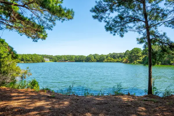 4031 Gnarled Oaks Lane, Johns Island, SC 29455