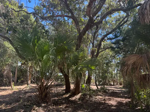 211 Lilly Street, Edisto Island, SC 29438