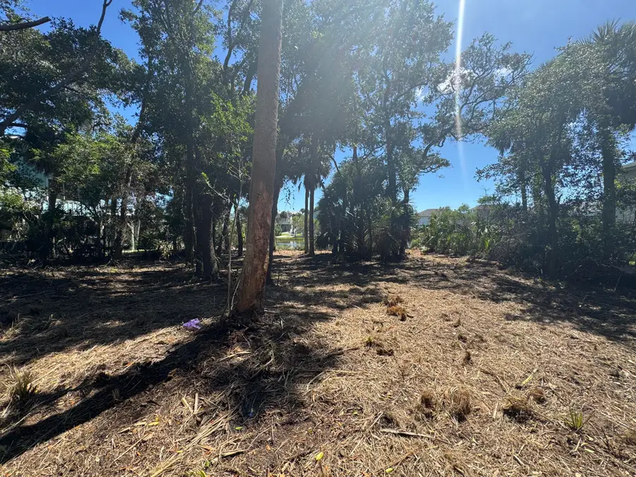 211 Lilly Street, Edisto Island, SC 29438 - #3