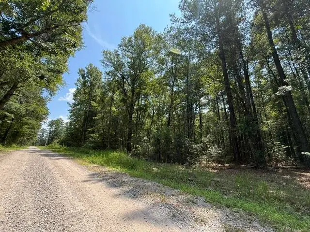 0000 Log Cabin Lane, Smoaks, SC 29481 - #1