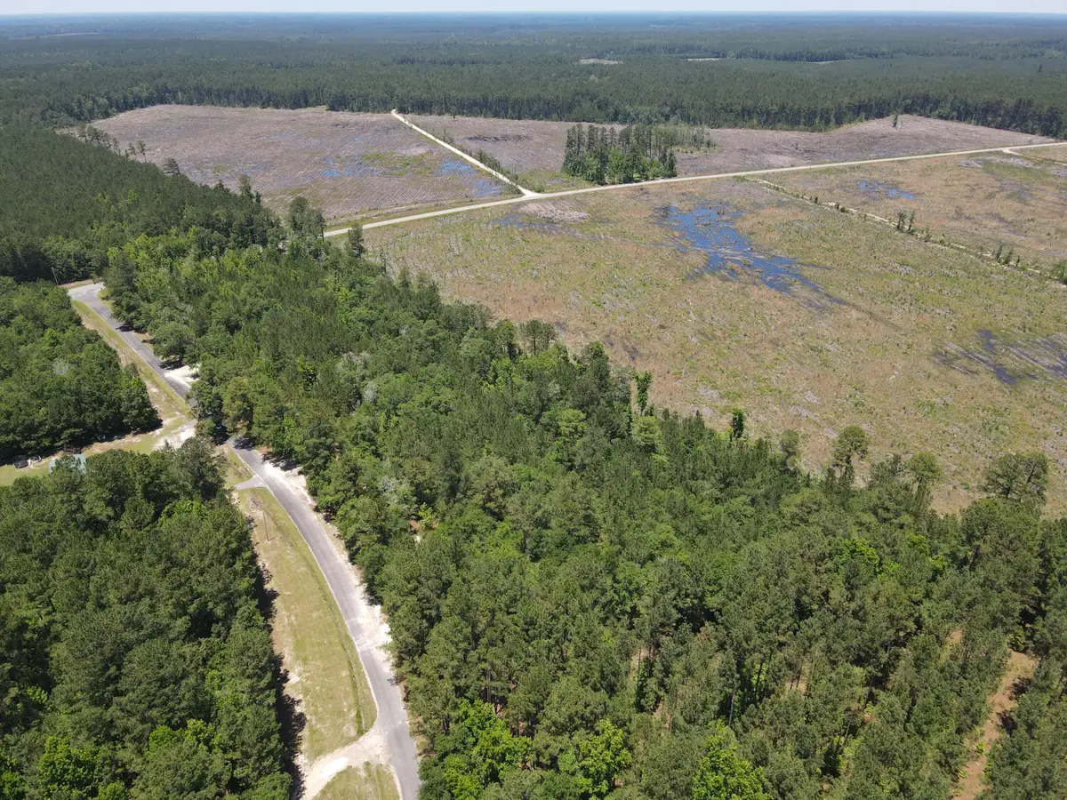 000 Tumbleweed Road, Smoaks, SC 29481 - #1