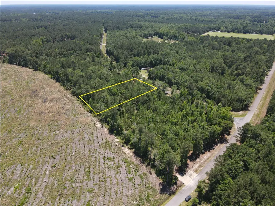 000 Tumbleweed Road, Smoaks, SC 29481 - #3