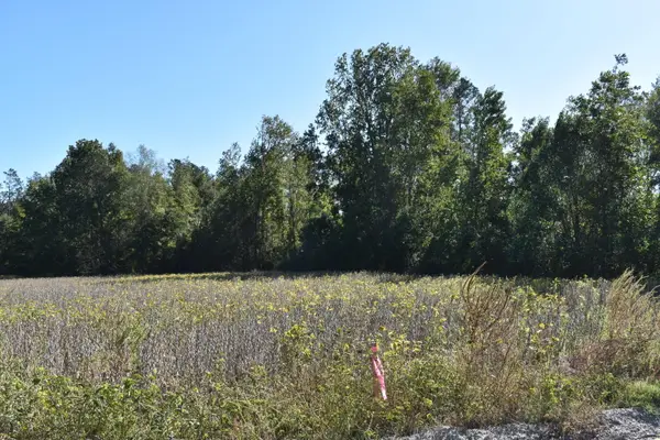 0000 Murdock Road, Manning, SC 29102