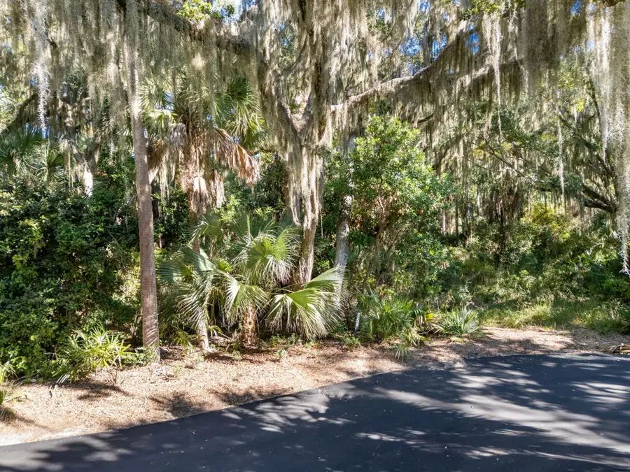 421 Sweetspire Lane, Kiawah Island, SC 29455 - #2