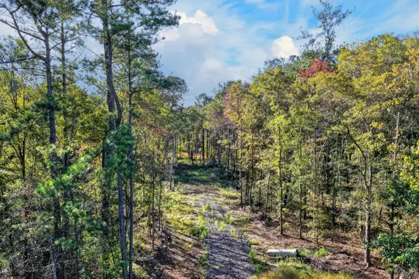 2553 N Highway 17a, Bonneau, SC 29431