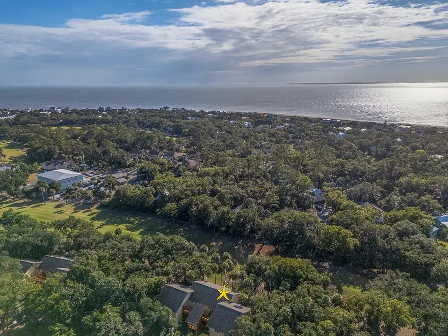 339 Sea Cloud Circle, Edisto Island, SC 29438 - #2