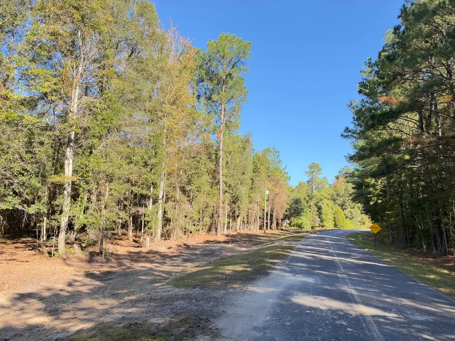 1255 Thirty Five Mile Road, Ridgeville, SC 29472 - #2