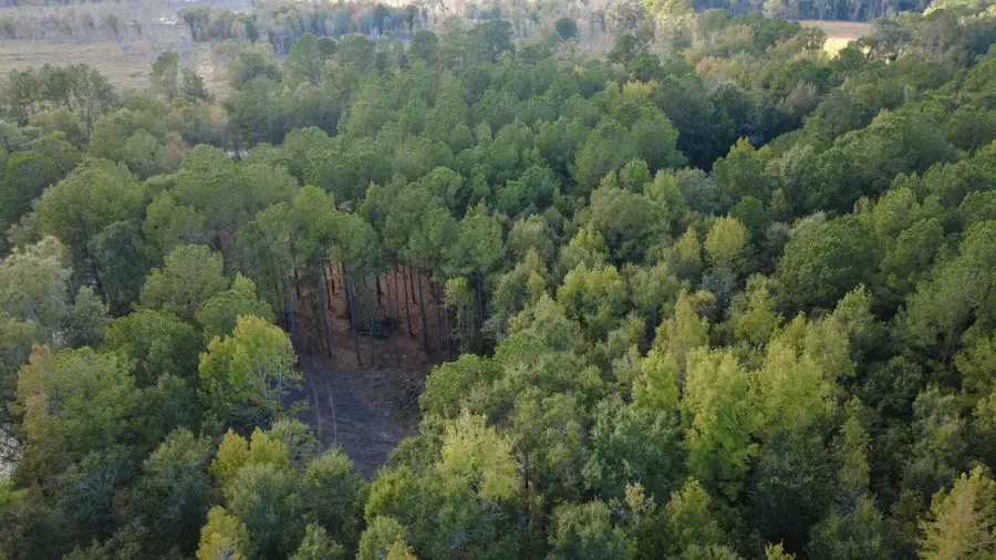 0 Sweetgum Road #Lot C, Saint George, SC 29477 - #2