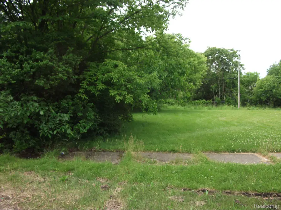 5915 SHERIDAN, Detroit, MI 48213 - Image #2