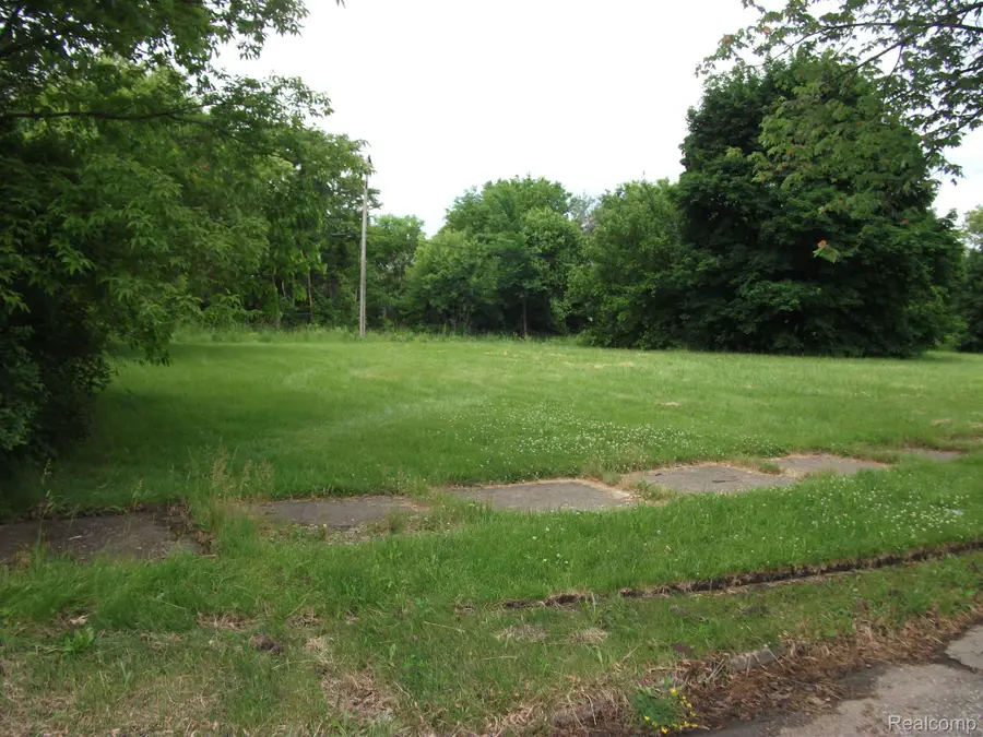 5915 SHERIDAN, Detroit, MI 48213 - Image #3