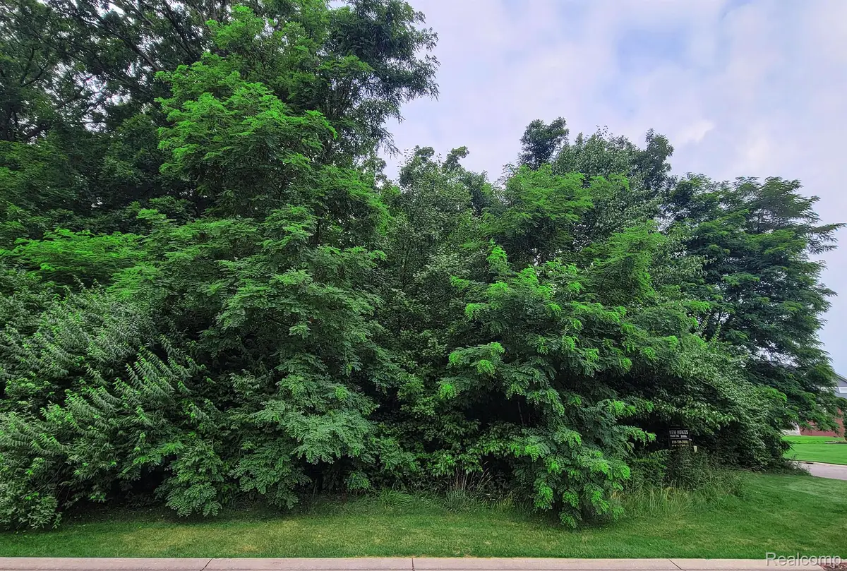 Lot 12 Wyndam LN, Brighton, MI 48116 - #1