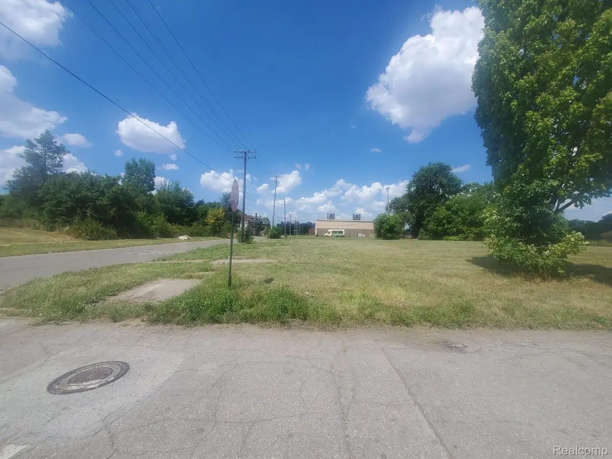 11534 WOODROW WILSON ST, Detroit, MI 48206 - Image #1