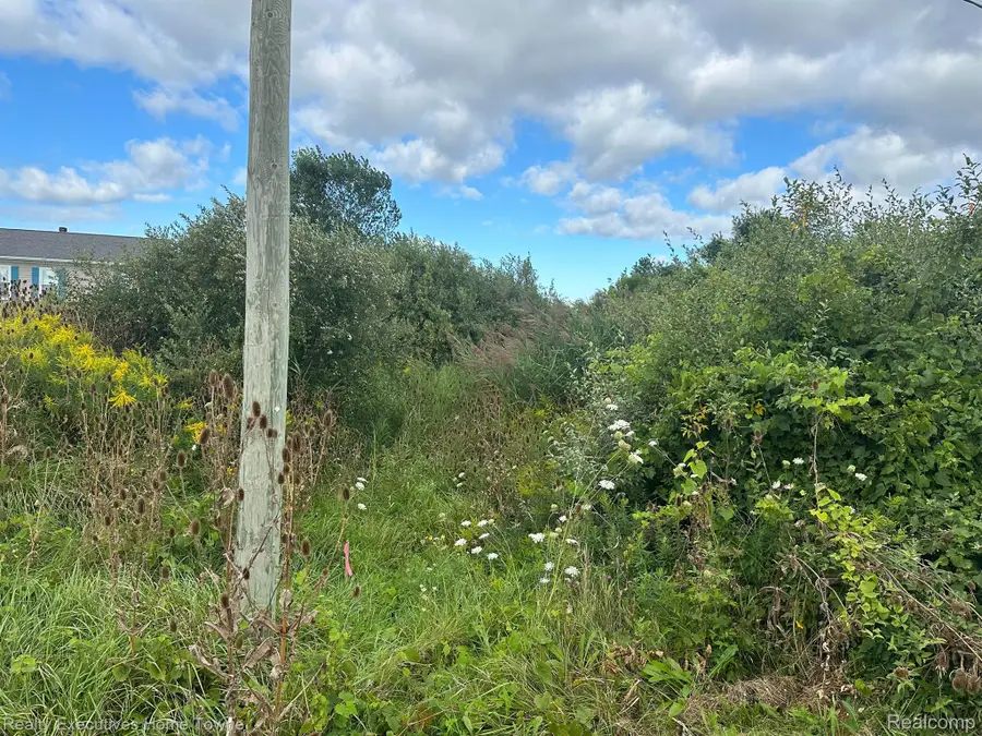 003 WILDCAT RD, Jeddo, MI 48032 - Image #3