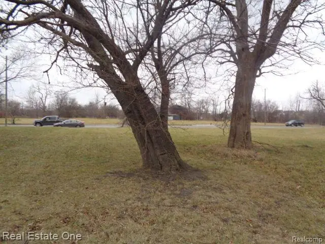 3330 14TH ST, Detroit, MI 48208 - Image #3