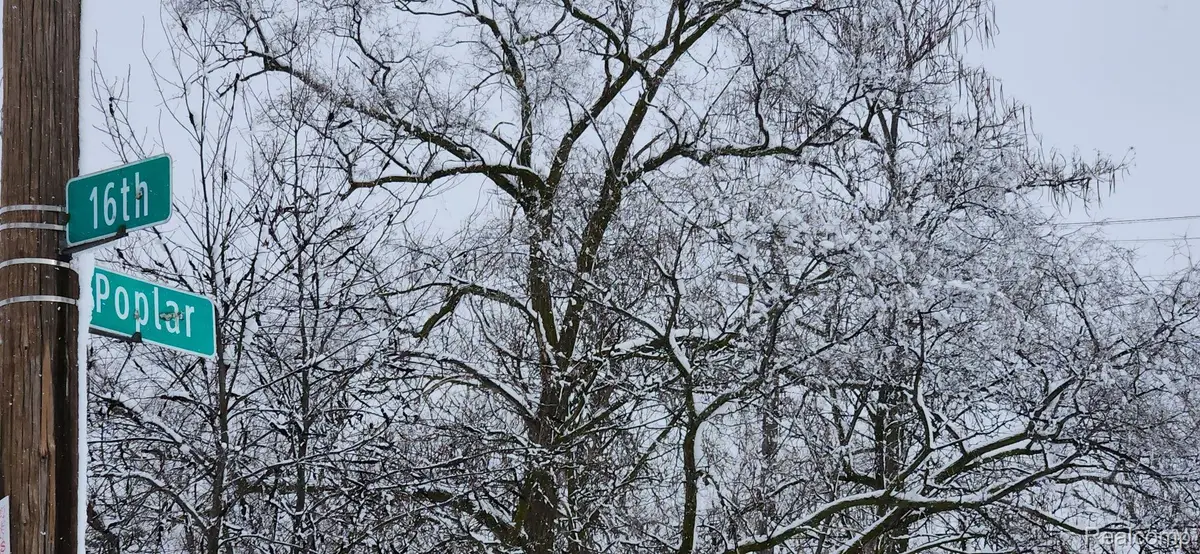 3978 16th Street, Detroit, MI 48208 - #1