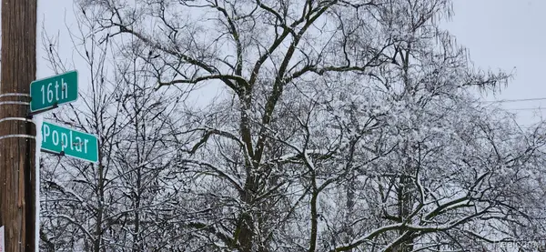 3978 16th Street, Detroit, MI 48208