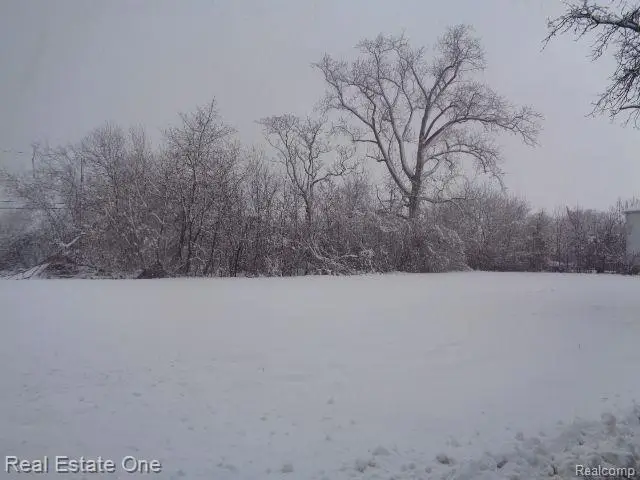 1043 CANTON ST, Detroit, MI 48207 - Image #2