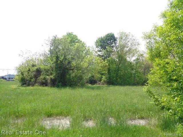 1051 CONCORD ST, Detroit, MI 48207 - Image #1