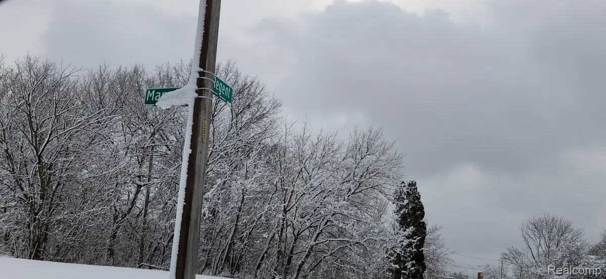 14405 MANNING ST, Detroit, MI 48205 - Image #1