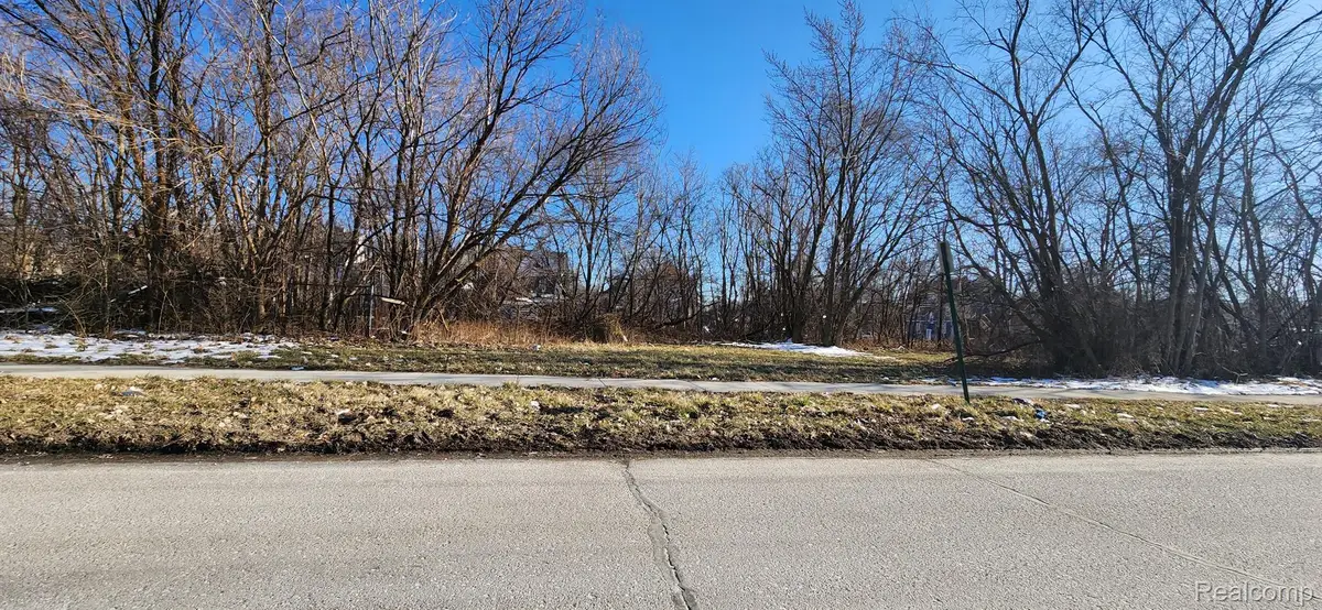 402 E EUCLID ST, Detroit, MI 48202 - Image #1