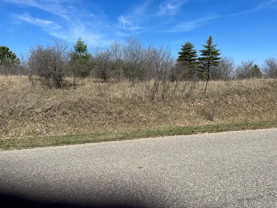 Lot 107 Manchester Way ST, Butman, MI 48624 - Image #3