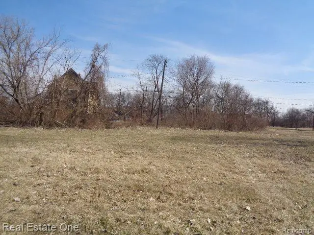 570 CONCORD ST, Detroit, MI 48207 - Image #2