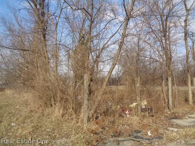 4293 16TH ST, Detroit, MI 48208 - Image #2