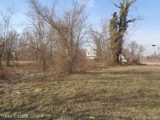 4293 16TH ST, Detroit, MI 48208 - Image #3