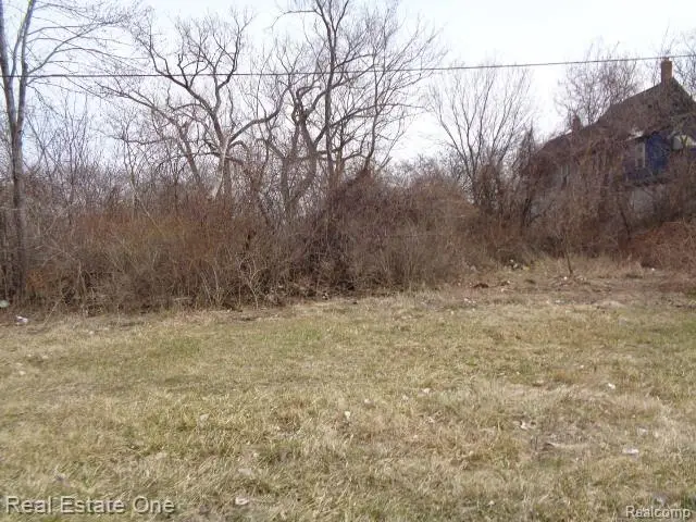 600 CONCORD ST, Detroit, MI 48207 - Image #3