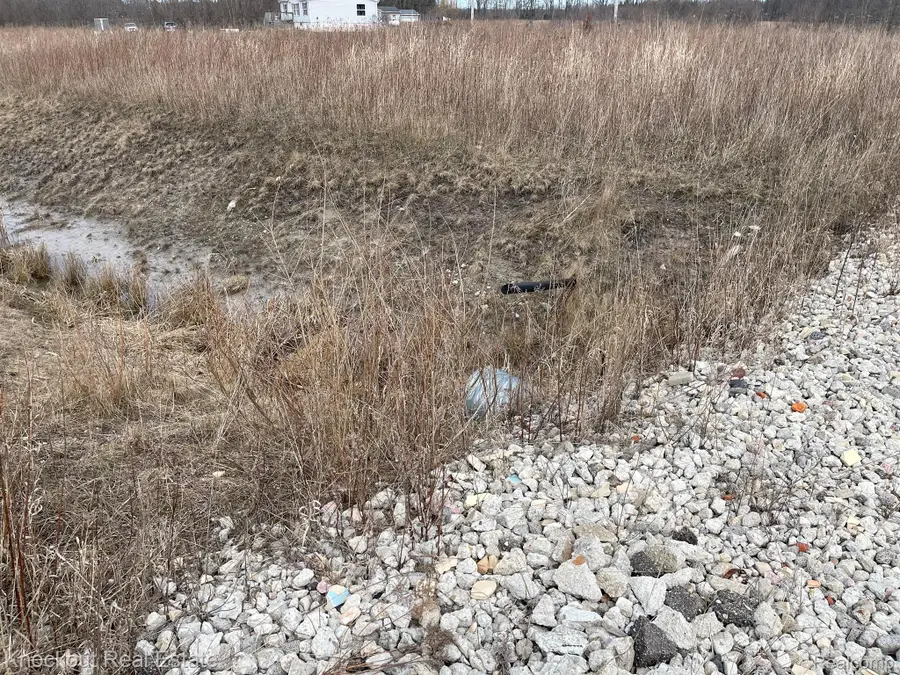 13176 HENDERSON RD, Forest, MI 48464 - Image #2