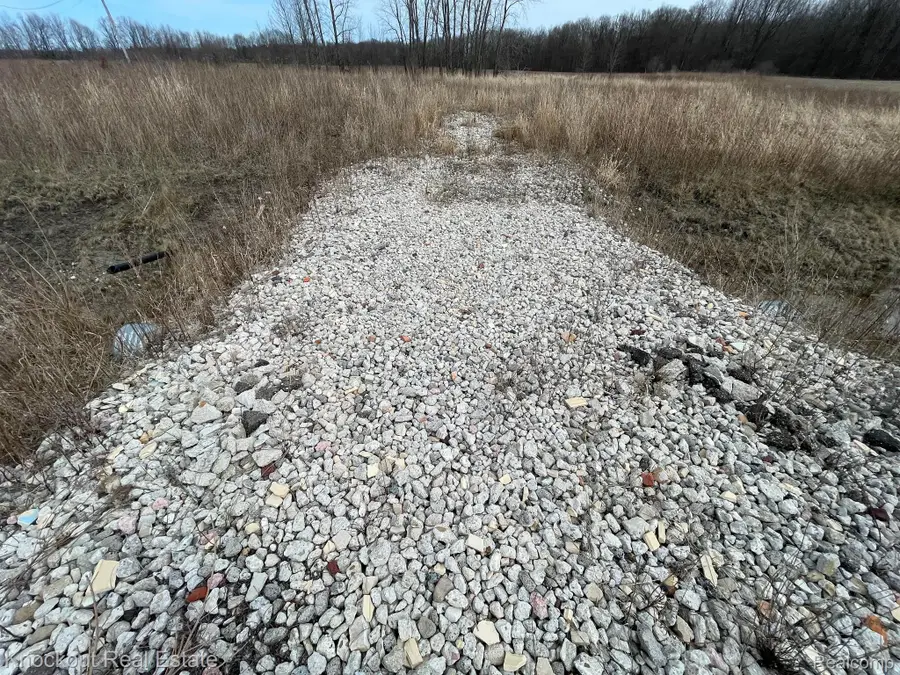 13176 HENDERSON RD, Forest, MI 48464 - Image #3