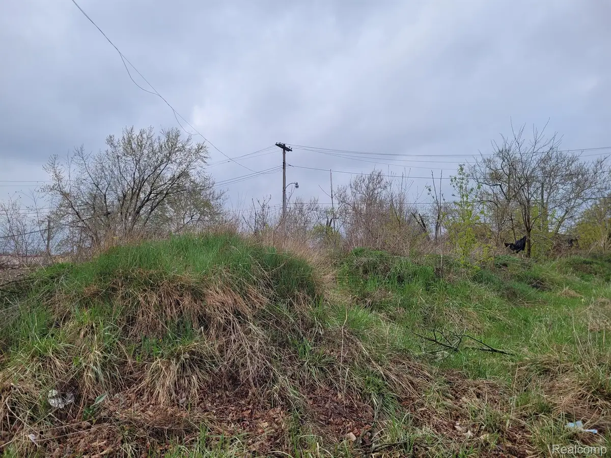 3332 ROCHESTER ST, Detroit, MI 48206 - Image #1