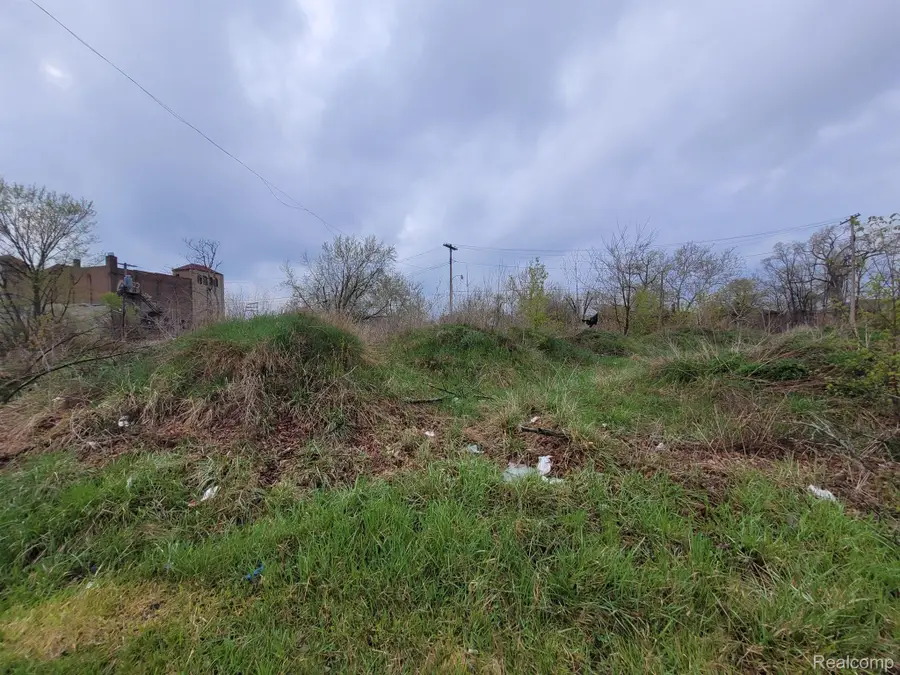 3332 ROCHESTER ST, Detroit, MI 48206 - Image #2