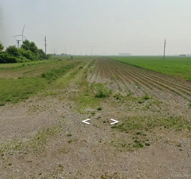 9.28 Acres Gagetown, Pigeon, MI 48755 - Image #2