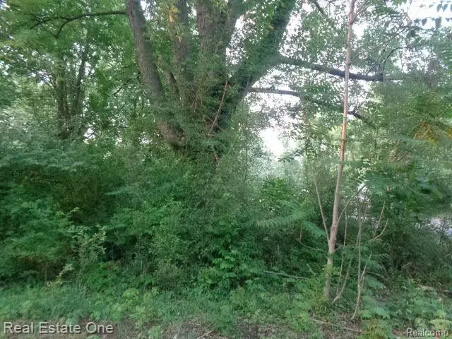 14549 DACOSTA ST, Detroit, MI 48223 - Image #3