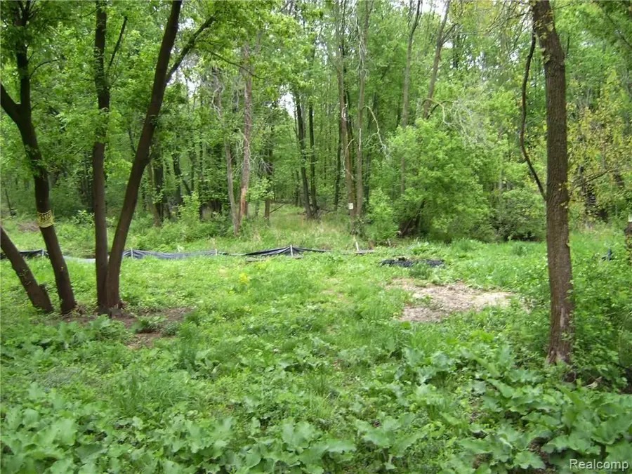 3268 Perry CRT, Grand Blanc Charter Township, MI 48439 - Image #3