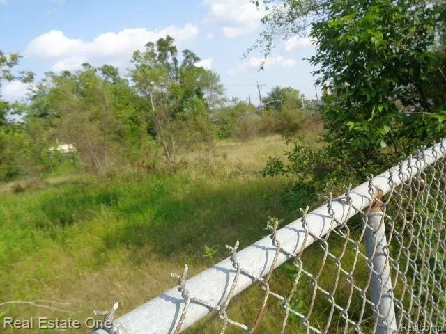 14852 WYOMING ST, Detroit, MI 48238 - Image #3