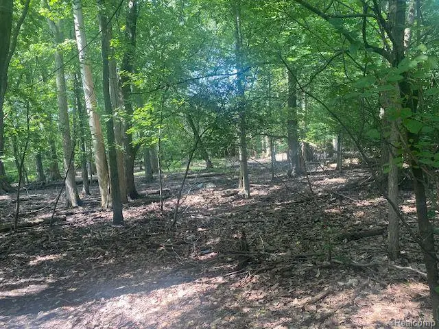 4.8 Acres  Westview  RD, Bloomfield Hills, MI 48304 - Image #1