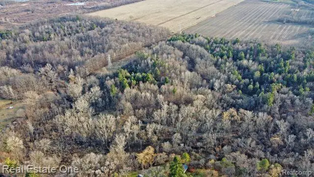 0 W Vienna, Clio, MI 48420 - Image #2