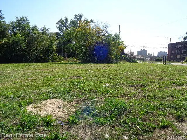 404 HARPER AVE, Detroit, MI 48202 - Image #3