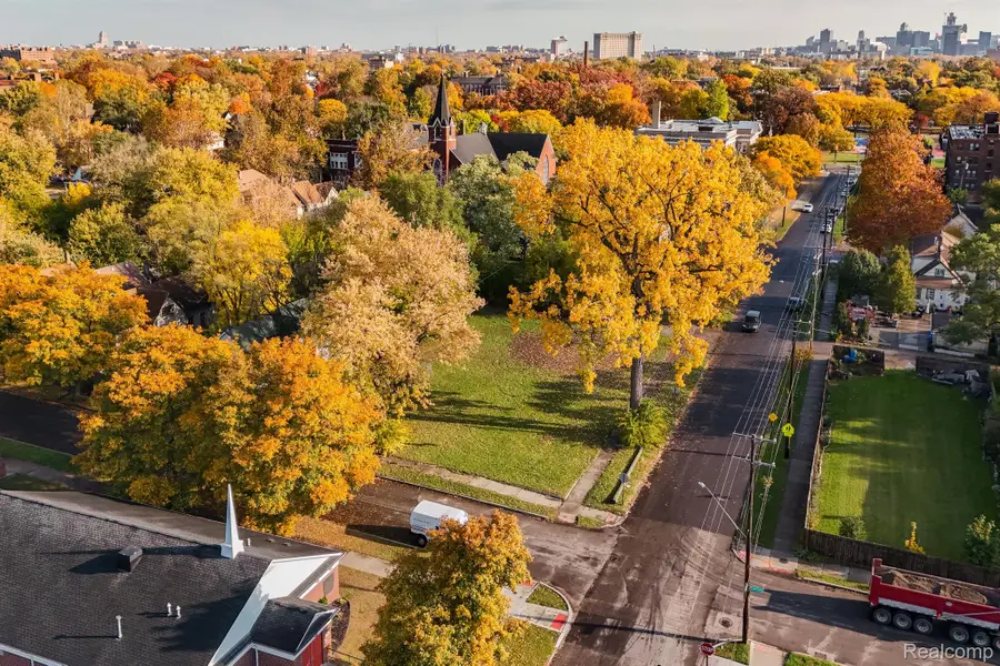 1401 MCKINSTRY ST, Detroit, MI 48209 - Image #3