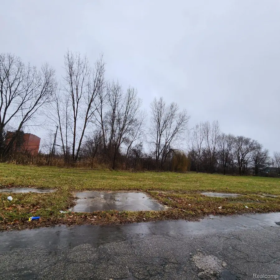 2661 HENDRICKS ST, Detroit, MI 48207 - Image #2