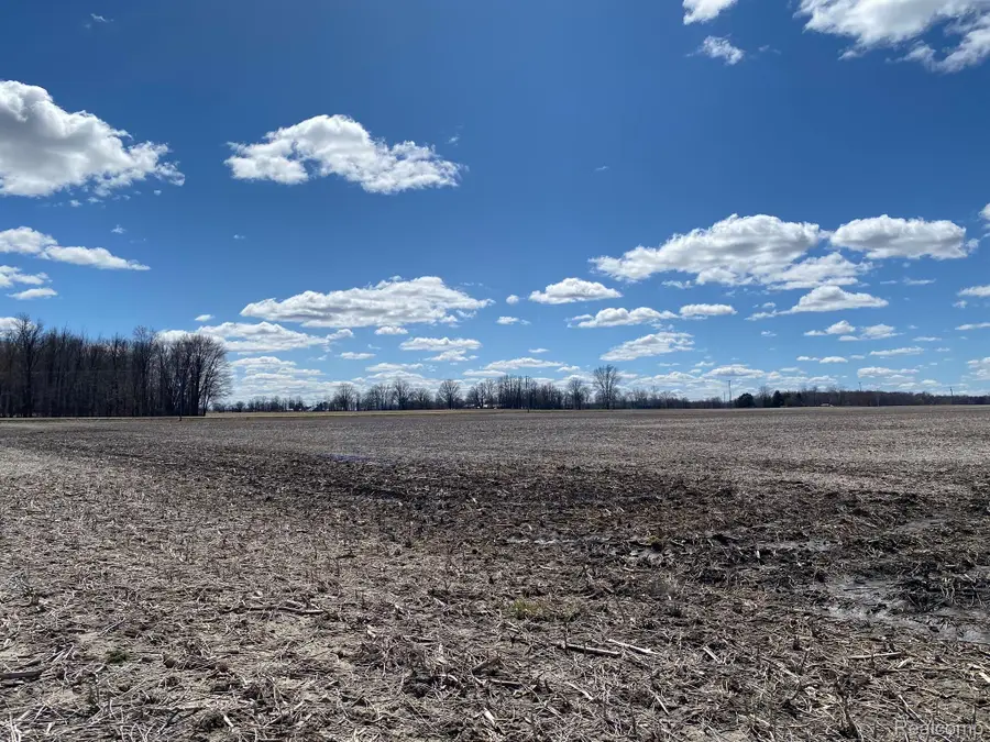 000 Dryden RD, Almont, MI 48003 - Image #3